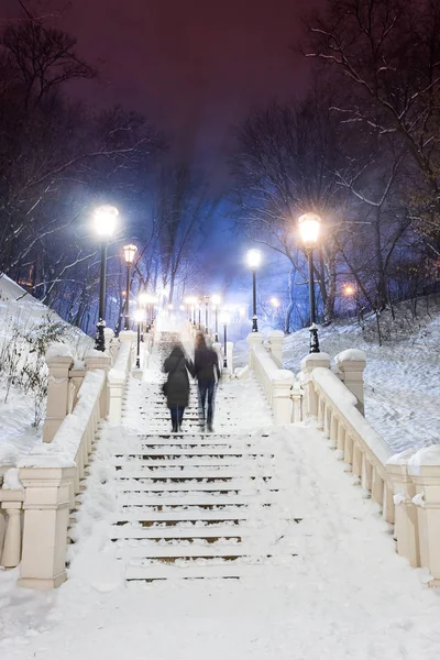 Muhteşem bir kış kenti parkında patika