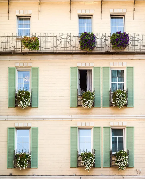 Many windows on yellow wall with flower — Stock Photo, Image