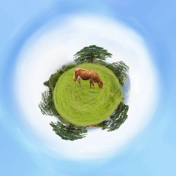 Green Earth. Little planet with green grass ecology concept save the world