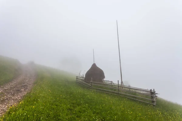 Cárpatos paisagem montanhosa sob céu matutino. Ucrânia . — Fotografia de Stock