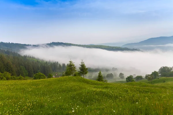 Карпатский горный пейзаж под утренним небом. Украина . — стоковое фото