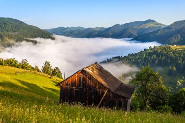 Karpatlar dağ manzarası sabah gökyüzü altında. Ukrayna.