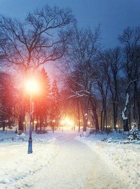 Muhteşem bir kış kenti parkında patika