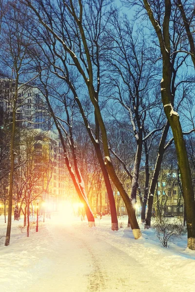 Passo a passo em um fabuloso parque da cidade de inverno — Fotografia de Stock