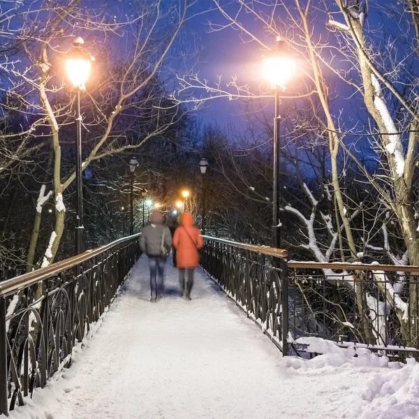 Parco urbano invernale. Ponte degli innamorati a Kiev. Ucraina . — Foto Stock