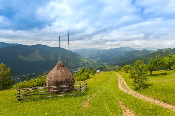 Красивый солнечный день в горном пейзаже. Карпаты, Украина . — стоковое фото