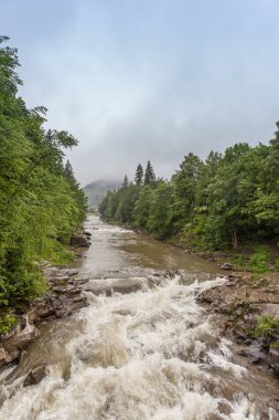 Karpat dağ dere akan su