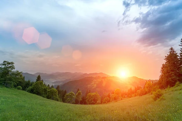 Dağ manzarasında güneşli güzel bir gün. Karpatlar, Ukrayna.