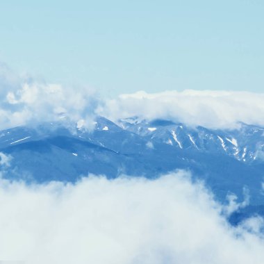 Sisli arazideki güzel sis dağlarının görkemli manzarası. Dramatik sıradışı sahne. Seyahat geçmişi. Güzellik dünyasını keşfediyorum. Karpat Dağları. Ukrayna. Avrupa.
