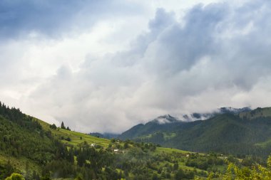 Sisli arazideki güzel sis dağlarının görkemli manzarası. Dramatik sıradışı sahne. Seyahat geçmişi. Güzellik dünyasını keşfediyorum. Karpat Dağları. Ukrayna. Avrupa.