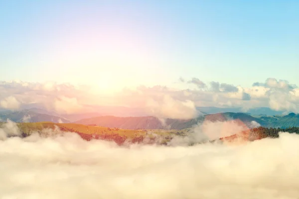 Magnifique et célèbre lieu de voyage La photo de paysage, beau brouillard marin dans la matinée aux Carpates, en Ukraine — Photo