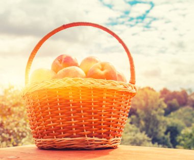 Güneşli günde taze elma