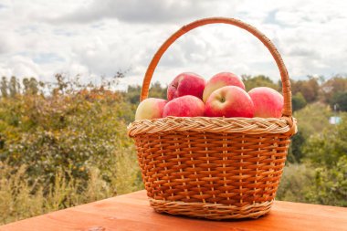 Güneşli günde taze elma