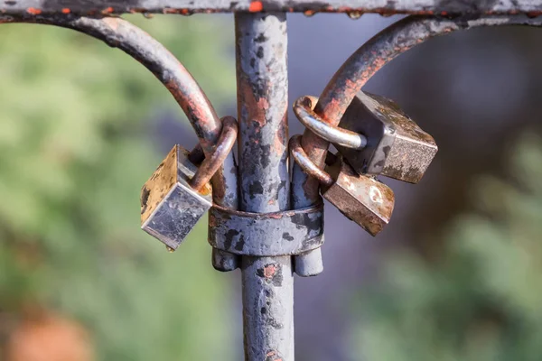 Lås på staketet av bron. älskare låsa sin kärlek med lås. — Stockfoto