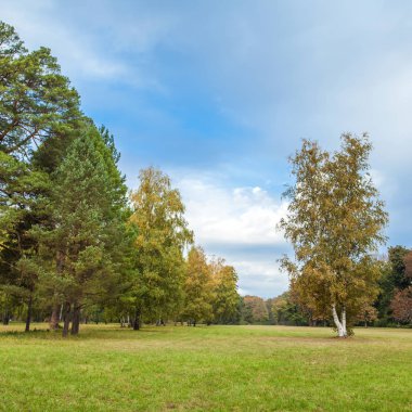 güzel sabah ışık şehir parkı 