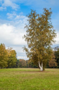 güzel sabah ışık şehir parkı 