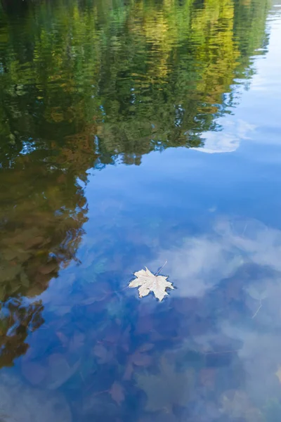 Hoja de otoño flotando en el reflejo del agua del cielo azul y las nubes blancas —  Fotos de Stock
