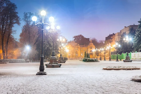 Sendero en un fabuloso parque de invierno de la ciudad — Foto de Stock