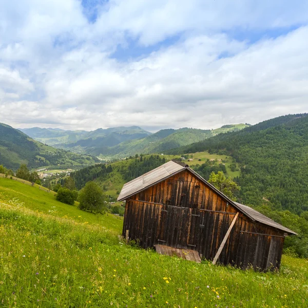 Dağ manzarasında güneşli güzel bir gün. Karpatlar, Ukrayna.