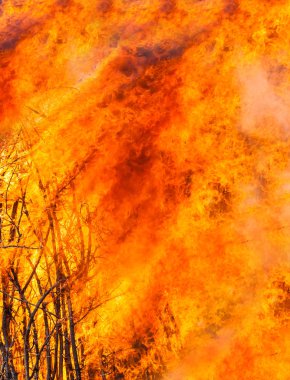 alev alev dokusu arkaplanı