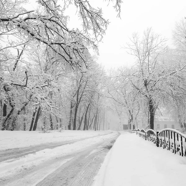 Μονοπάτι Ένα Υπέροχο Πάρκο Της Πόλης Χειμώνα — Φωτογραφία Αρχείου