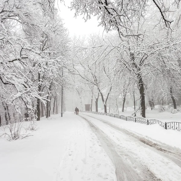 Fußweg Märchenhaften Winter Stadtpark — Stockfoto