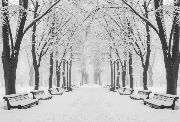 Vandringsled Fantastisk Vinterstadspark — Stockfoto