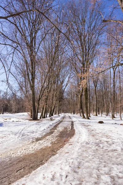 Winter Stadspark Ochtend — Stockfoto