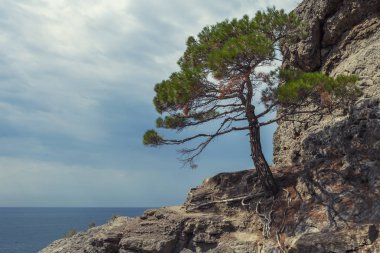 Dağlarla dolu sabah deniz manzarası. Minimalist Deniz Burnu. Sahil Gündoğumu. 