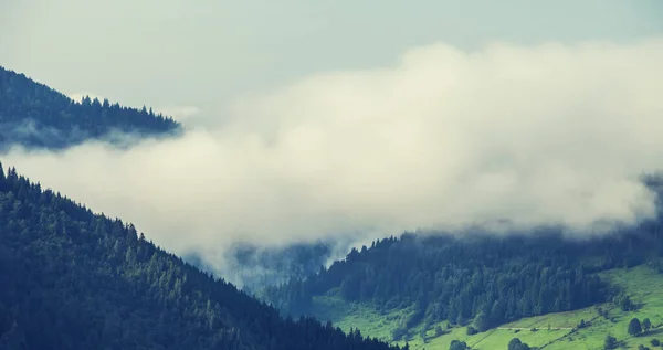 山の中の霧深い夏の日の眺め — ストック写真