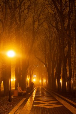 Gece şehir parkının bulvarı. Kyiv, Ukrayna.