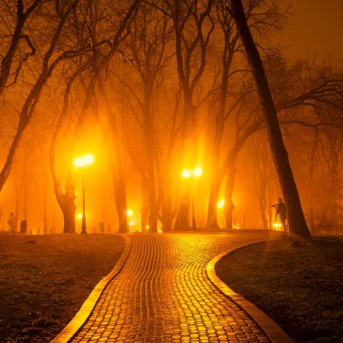 Gece şehir parkının bulvarı. Kyiv, Ukrayna.