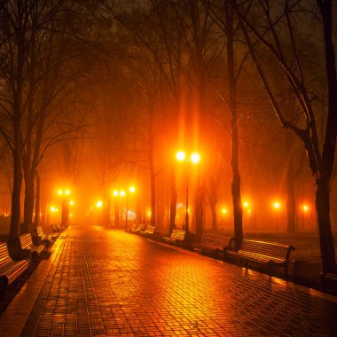 Gece şehir parkının bulvarı. Kyiv, Ukrayna.