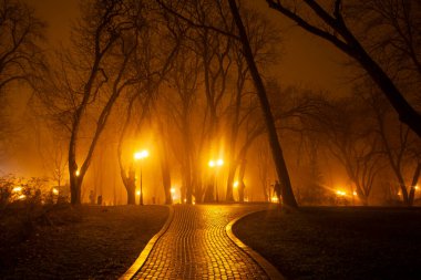 Gece şehir parkının bulvarı. Kyiv, Ukrayna.