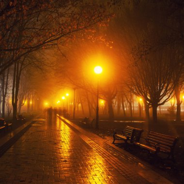 Gece şehir parkının bulvarı. Kyiv, Ukrayna.