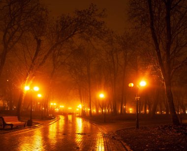 Gece şehir parkının bulvarı. Kyiv, Ukrayna.