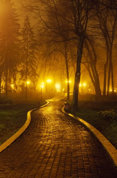 Avenue Parc Ville Nuit Kiev Ukraine — Photo