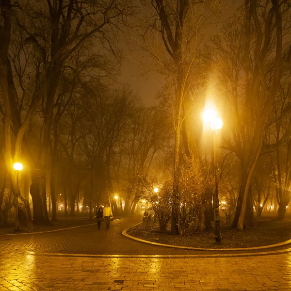 Die Allee Des Stadtparks Bei Nacht Kiew Ukraine — Stockfoto