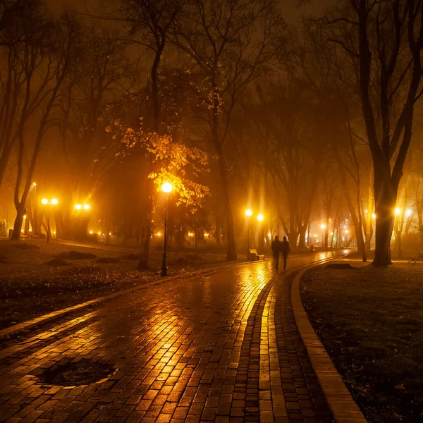 Λεωφόρος Του Πάρκου Βράδυ Κίεβο Ουκρανία — Φωτογραφία Αρχείου