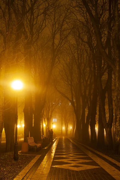 Avenida Parque Cidade Noite Kiev Ucrânia — Fotografia de Stock