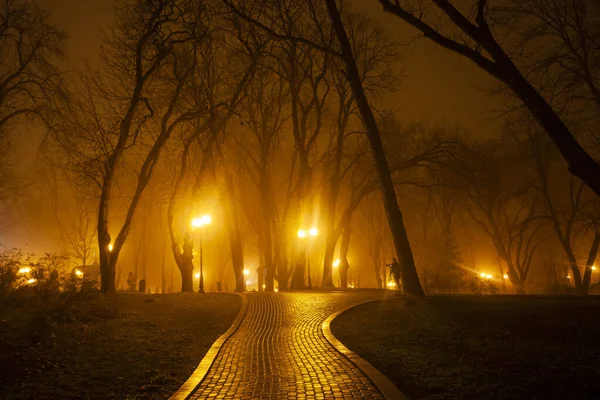 Avenida Del Parque Ciudad Por Noche Kiev Ucrania —  Fotos de Stock