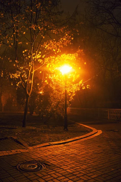 Avenue City Park Night Kyiv Ukraine — Stock Photo, Image