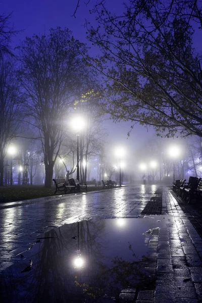 Avenue City Park Night Kyiv Ukraine — Stock Photo, Image