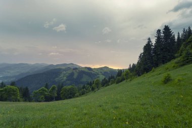 Sisli arazideki güzel sis dağlarının görkemli manzarası. Dramatik sıradışı sahne. Seyahat geçmişi. Güzellik dünyasını keşfediyorum. Karpat Dağları. Ukrayna. 