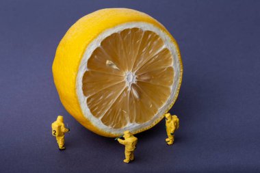 Koruyucu kıyafetli bir grup insan limonu siyah arka planda inceliyor. Makro fotoğrafçılık.