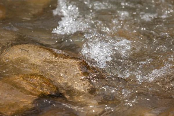 Karpat dağlarında şelale ve orman dereleri. 
