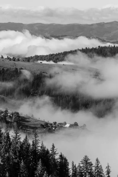 Nevoeiro Dramático Das Florestas Das Montanhas Pretas Brancas Nos Cárpatos — Fotografia de Stock