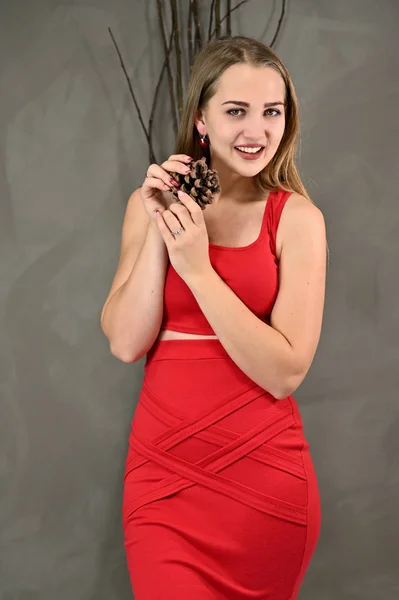 Concepto universal retrato femenino sobre fondo gris. Foto vertical de una chica muy sonriente con el pelo largo y un gran maquillaje en un vestido rojo con emociones en diferentes poses . —  Fotos de Stock