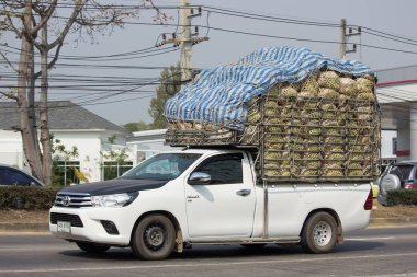 Özel Pick up araba Toyota yeni Hilux Revo .