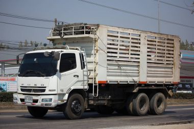 Özel Mitsubishi Fuso Fn2524 kargo kamyon.